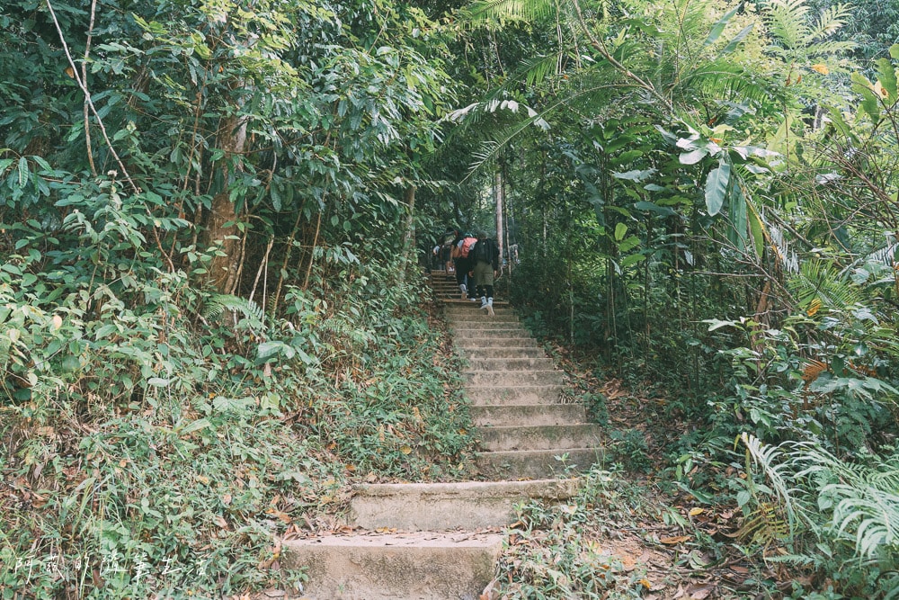 【馬來西亞】大漢山一日遊Taman Negara,世界最古老的熱帶雨林! - 第6張圖