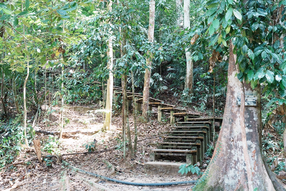 【馬來西亞】大漢山一日遊Taman Negara,世界最古老的熱帶雨林! - 第1張圖