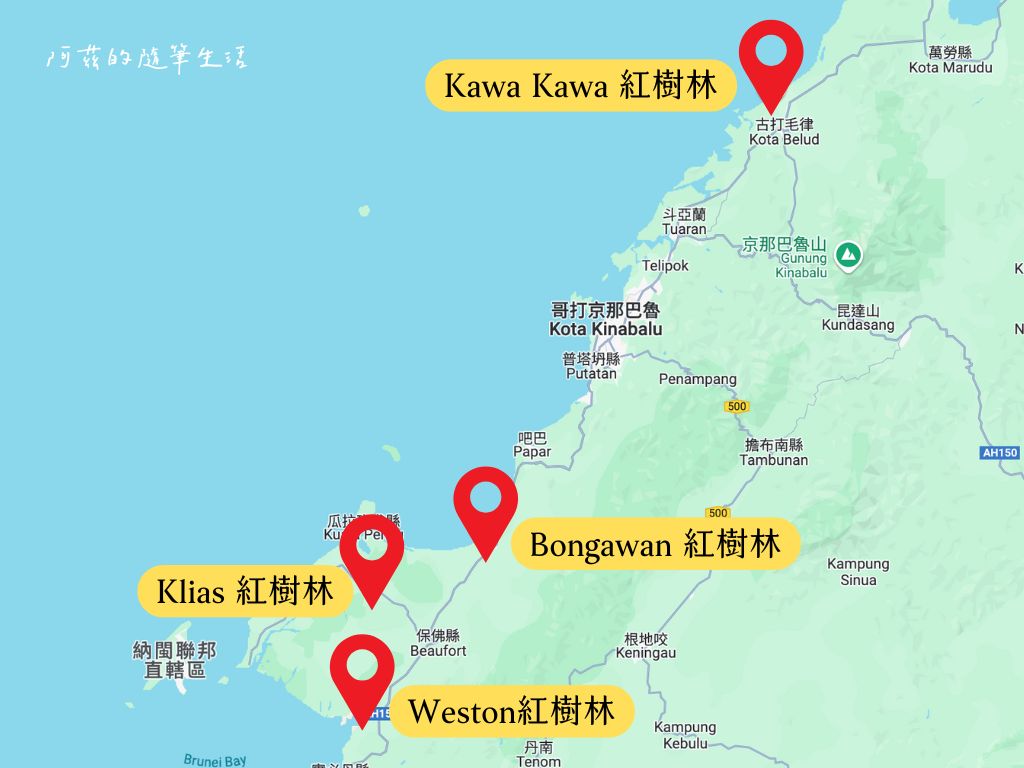 Kawa Kawa紅樹林:沙巴螢火蟲、長鼻猴一日遊! - 第1張圖