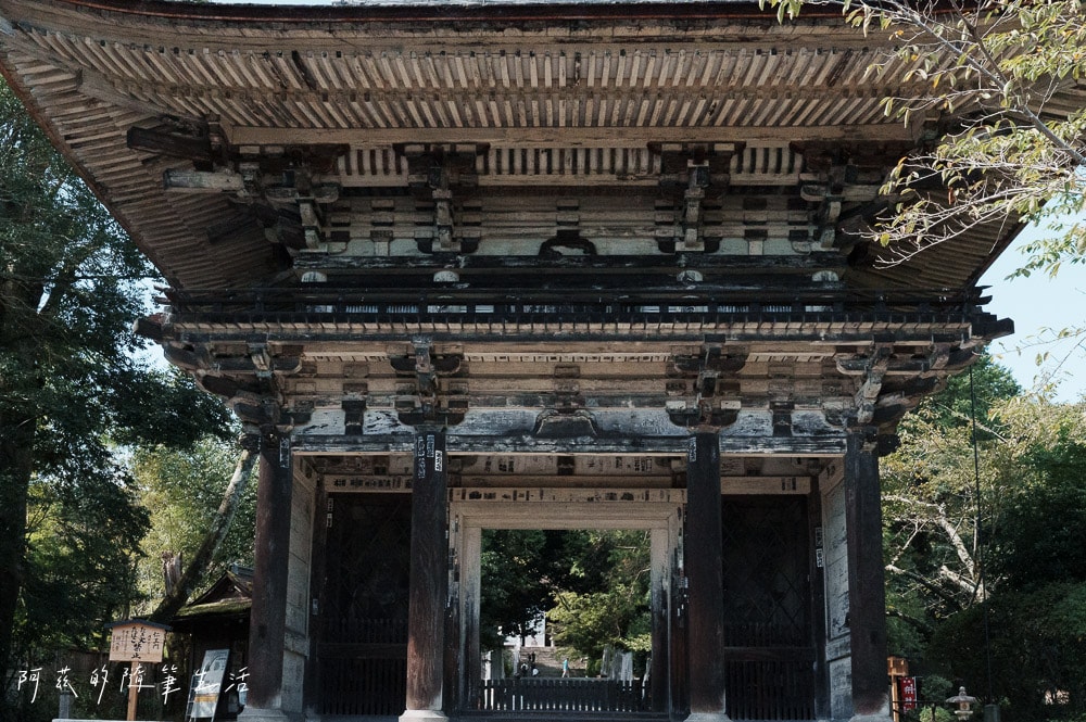 【大津景點】三井寺(園城寺),近江八景之一,賞櫻花、紅葉勝地! - 第1張圖