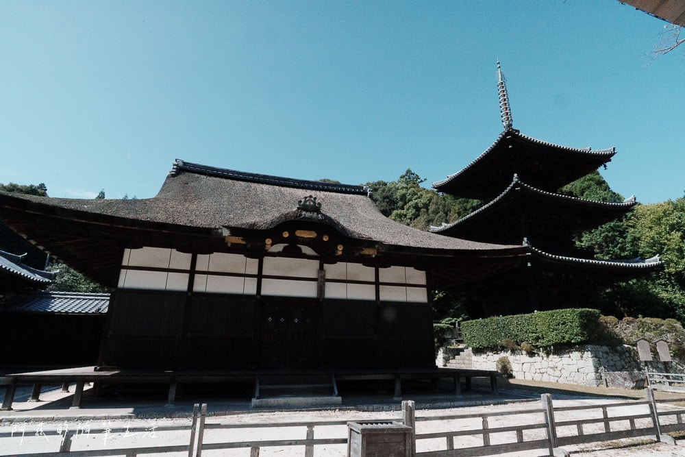 【大津景點】三井寺(園城寺),近江八景之一,賞櫻花、紅葉勝地! - 第12張圖