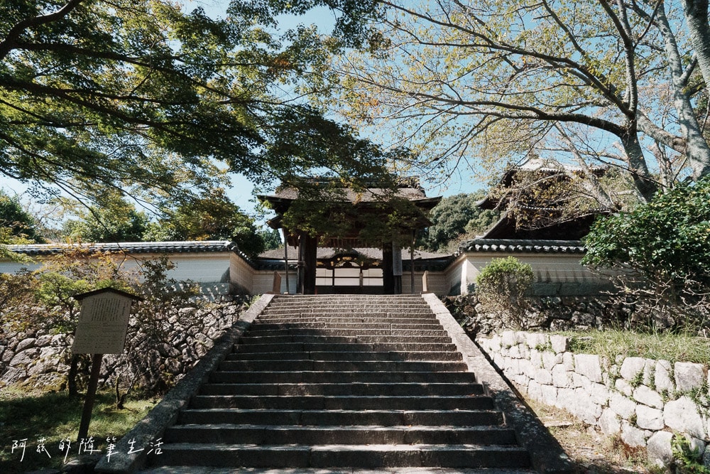 【大津景點】三井寺(園城寺),近江八景之一,賞櫻花、紅葉勝地! - 第3張圖