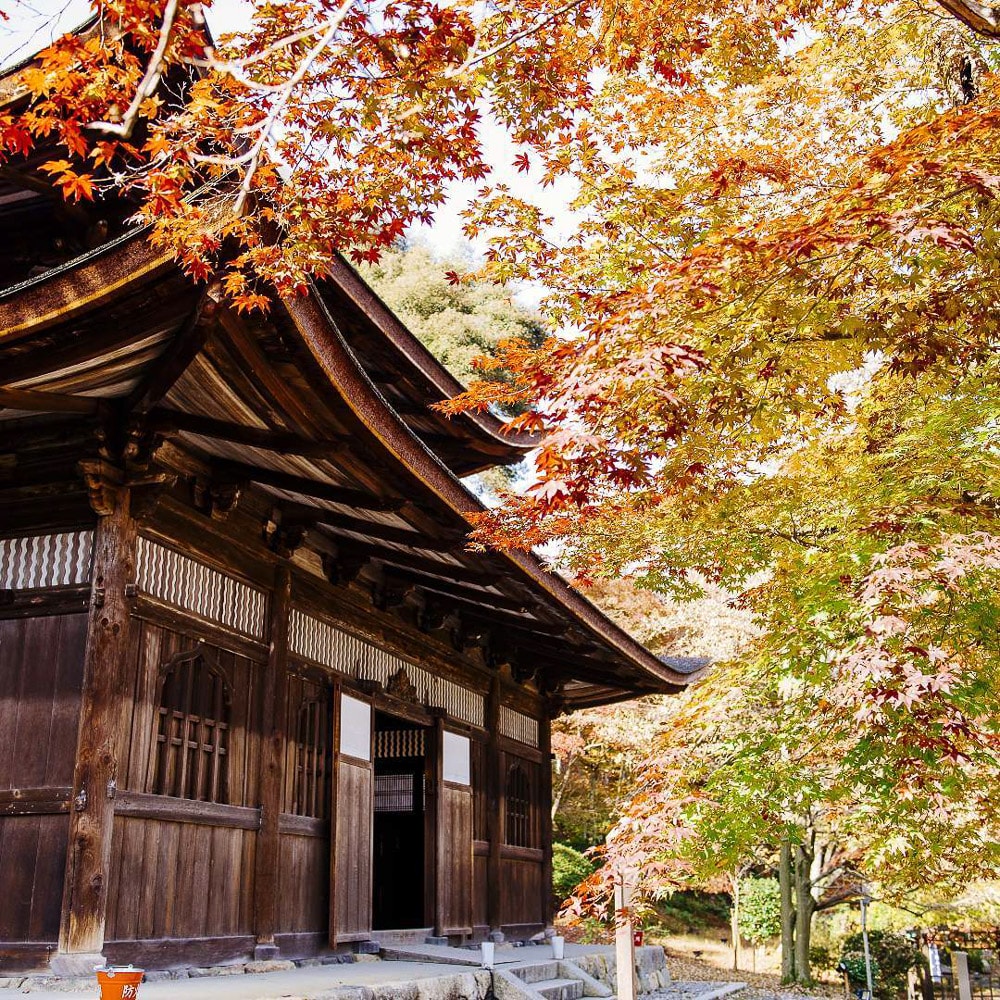 【大津景點】三井寺(園城寺),近江八景之一,賞櫻花、紅葉勝地! - 第5張圖