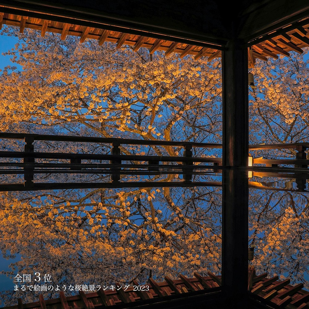 【大津景點】三井寺(園城寺),近江八景之一,賞櫻花、紅葉勝地! - 第4張圖