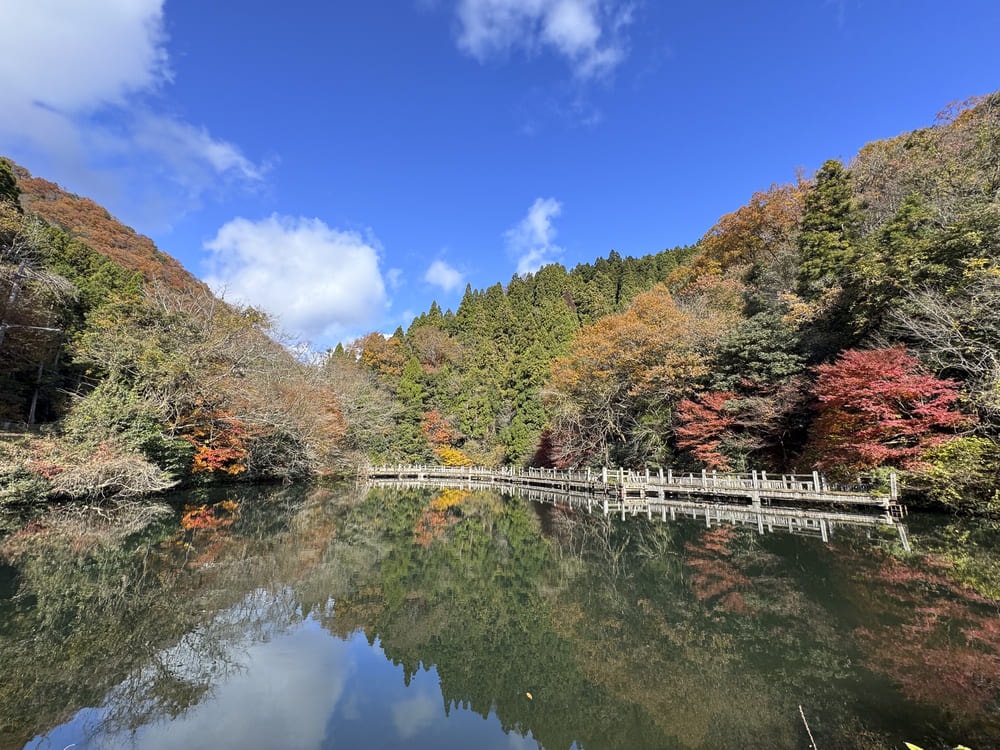 高島市景點TOP10:琵琶湖畔秘境巡禮,四季美景一次收藏! - 第13張圖