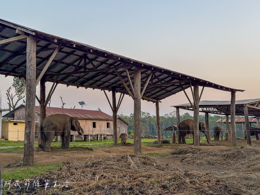 【尼泊爾】奇旺國家公園攻略 Chitwan|4天3夜行程、Royal Tiger Luxury Resort 住宿推薦、交通一次看! - 第10張圖 【尼泊爾】奇旺國家公園攻略 Chitwan|4天3夜行程、Royal Tiger Luxury Resort 住宿推薦、交通一次看!