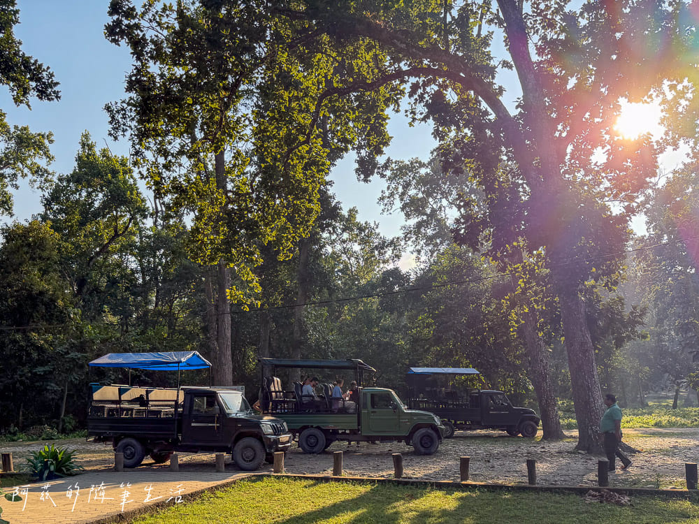 【尼泊爾】奇旺國家公園攻略 Chitwan|4天3夜行程、Royal Tiger Luxury Resort 住宿推薦、交通一次看! - 第16張圖 【尼泊爾】奇旺國家公園攻略 Chitwan|4天3夜行程、Royal Tiger Luxury Resort 住宿推薦、交通一次看!