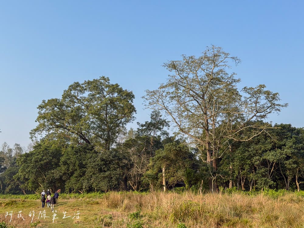 【尼泊爾】奇旺國家公園攻略 Chitwan|4天3夜行程、Royal Tiger Luxury Resort 住宿推薦、交通一次看! - 第36張圖 【尼泊爾】奇旺國家公園攻略 Chitwan|4天3夜行程、Royal Tiger Luxury Resort 住宿推薦、交通一次看!