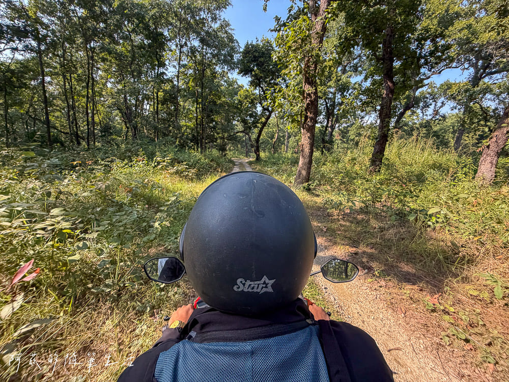 【尼泊爾】奇旺國家公園攻略 Chitwan|4天3夜行程、Royal Tiger Luxury Resort 住宿推薦、交通一次看! - 第41張圖 【尼泊爾】奇旺國家公園攻略 Chitwan|4天3夜行程、Royal Tiger Luxury Resort 住宿推薦、交通一次看!