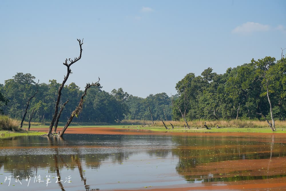 【尼泊爾】奇旺國家公園攻略 Chitwan|4天3夜行程、Royal Tiger Luxury Resort 住宿推薦、交通一次看! - 第43張圖 【尼泊爾】奇旺國家公園攻略 Chitwan|4天3夜行程、Royal Tiger Luxury Resort 住宿推薦、交通一次看!