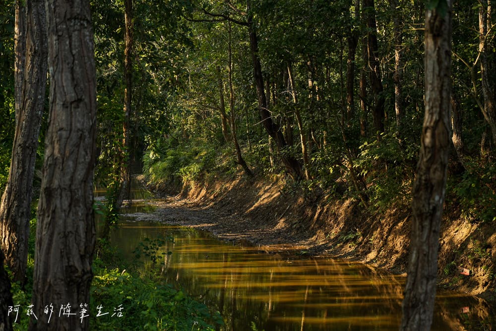 【尼泊爾】奇旺國家公園攻略 Chitwan|4天3夜行程、Royal Tiger Luxury Resort 住宿推薦、交通一次看! - 第47張圖 【尼泊爾】奇旺國家公園攻略 Chitwan|4天3夜行程、Royal Tiger Luxury Resort 住宿推薦、交通一次看!