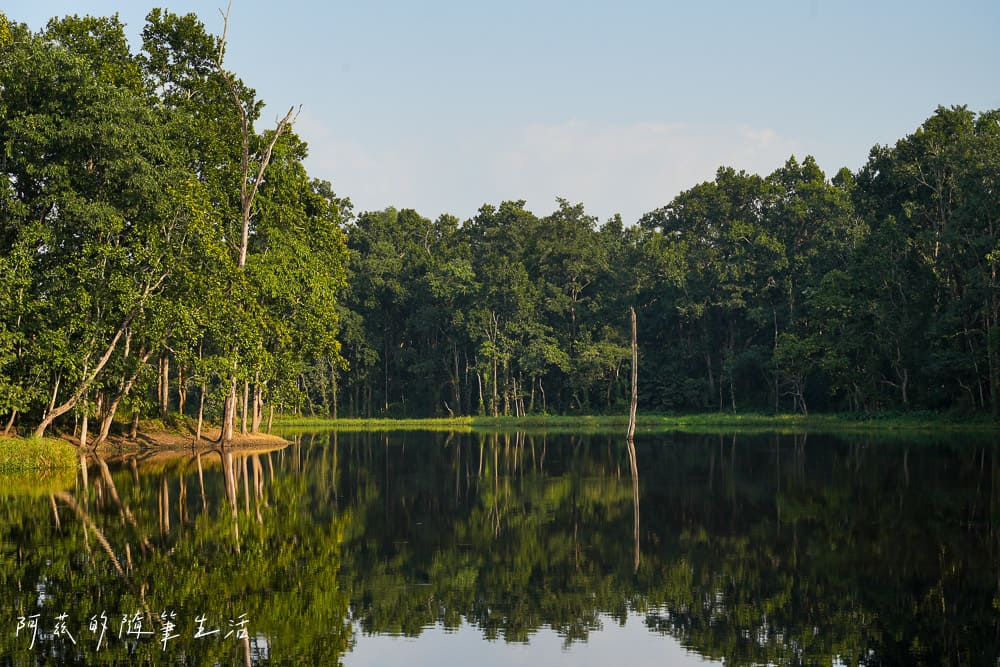 【尼泊爾】奇旺國家公園攻略 Chitwan|4天3夜行程、Royal Tiger Luxury Resort 住宿推薦、交通一次看! - 第49張圖 【尼泊爾】奇旺國家公園攻略 Chitwan|4天3夜行程、Royal Tiger Luxury Resort 住宿推薦、交通一次看!