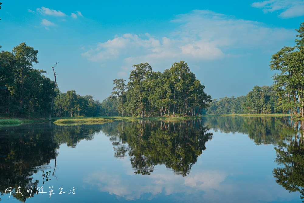 【尼泊爾】奇旺國家公園攻略 Chitwan|4天3夜行程、Royal Tiger Luxury Resort 住宿推薦、交通一次看! - 第50張圖 【尼泊爾】奇旺國家公園攻略 Chitwan|4天3夜行程、Royal Tiger Luxury Resort 住宿推薦、交通一次看!