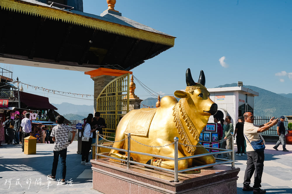 【尼泊爾】波卡拉世界和平塔 & 濕婆雕像｜上山交通、行程安排