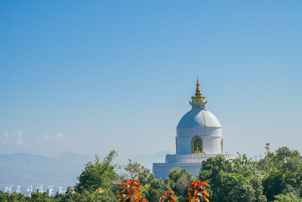 【尼泊爾】波卡拉世界和平塔 & 濕婆雕像｜上山交通、行程安排