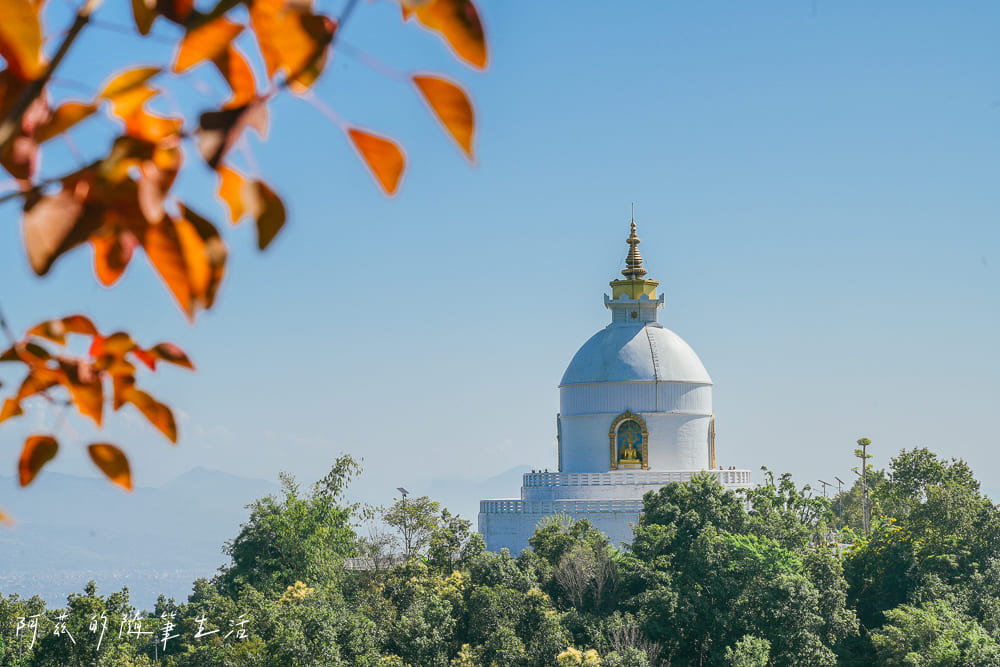 【尼泊爾】波卡拉世界和平塔 & 濕婆雕像｜上山交通、行程安排