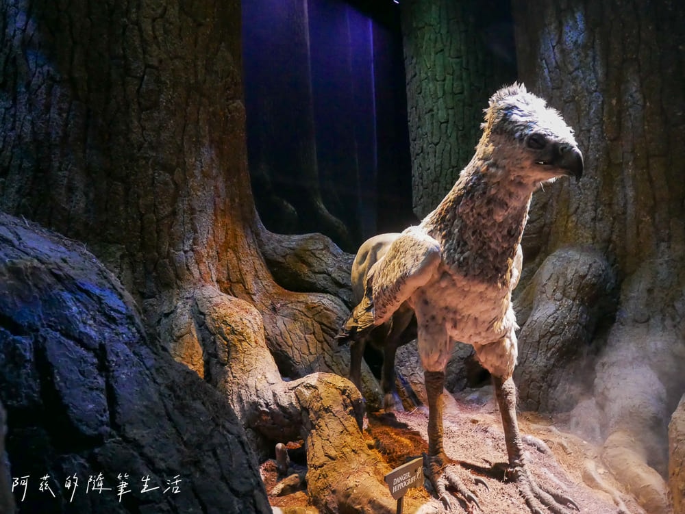 【英國】倫敦哈利波特影城｜門票、交通方式、必看 10 大場景與參觀動線一次看！